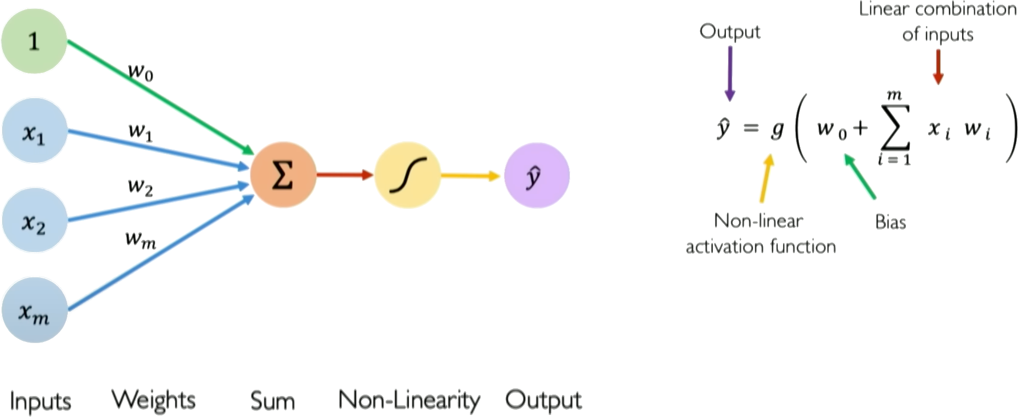 Perceptron
